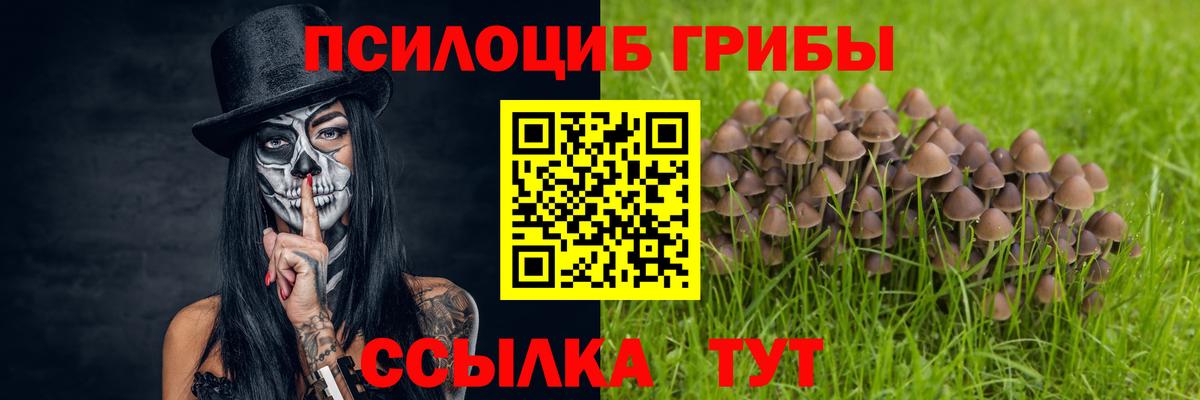 Псилоцибиновые грибы Psilocybine cubensis  Галлюциногенные грибы Psilocybine cubensis  Белгород  Вход с VPN 